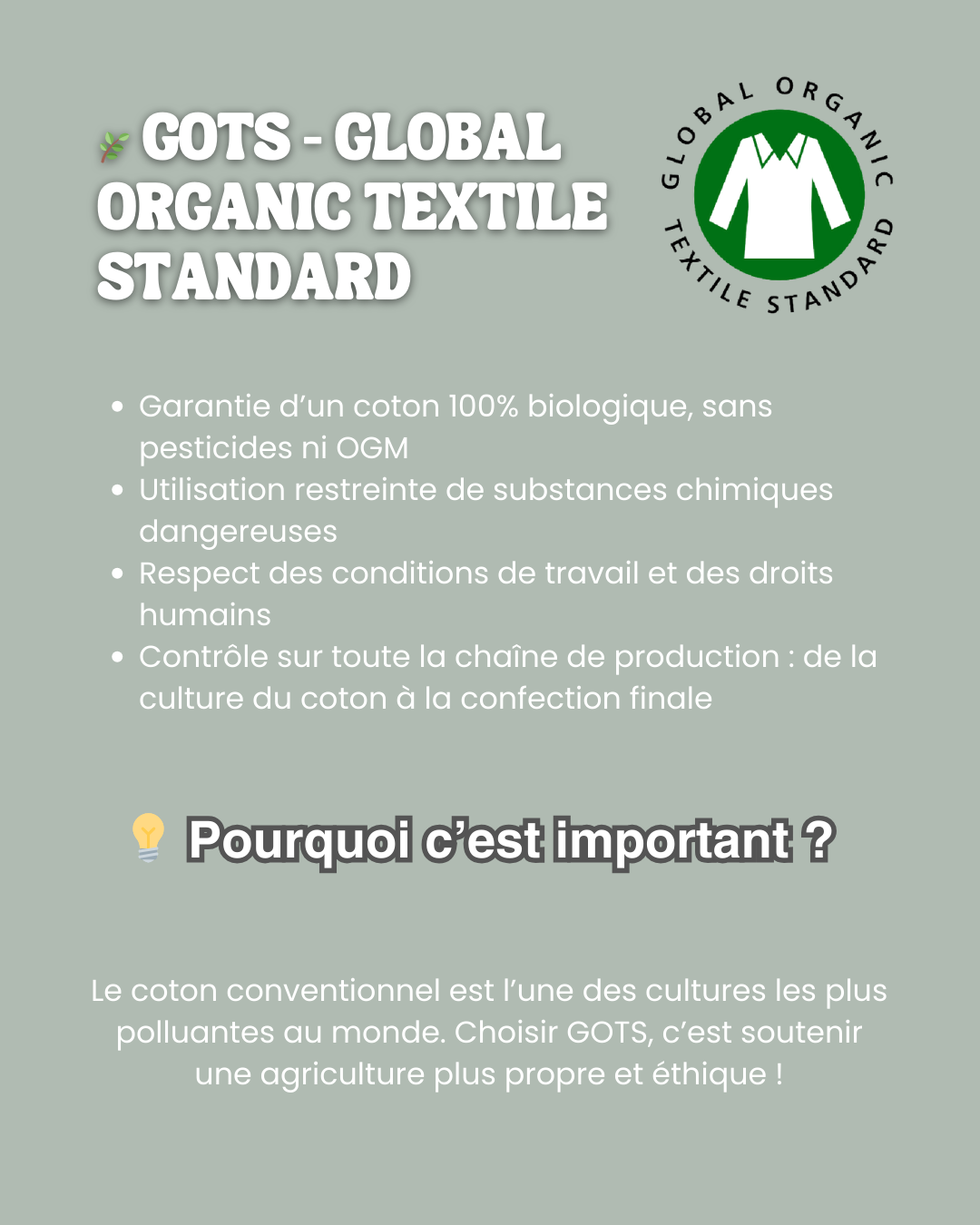 Carrousel Instagram page 2